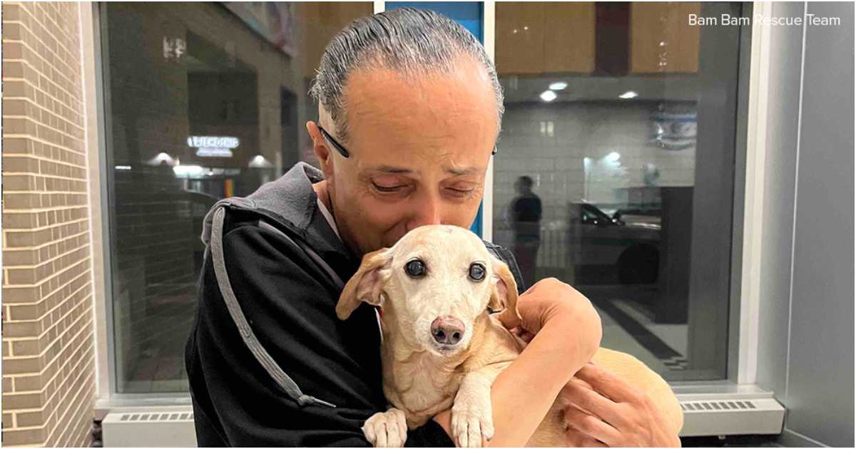 কোলে থাকা কুকুরকে আদর করছেন এক ব্যক্তি। ছবি: আইউইটনেস নিউজ